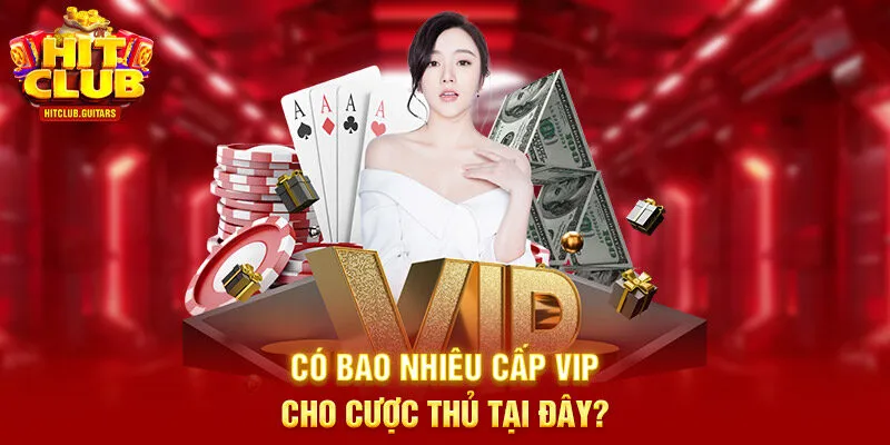 Có bao nhiêu cấp VIP cho cược thủ tại đây?