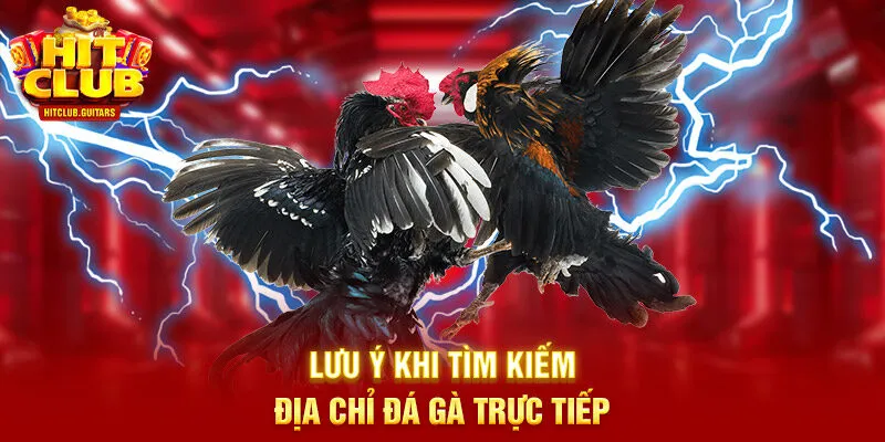 Lưu ý khi tìm kiếm địa chỉ đá gà trực tiếp