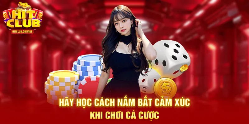 Hãy học cách nắm bắt cảm xúc khi chơi cá cược